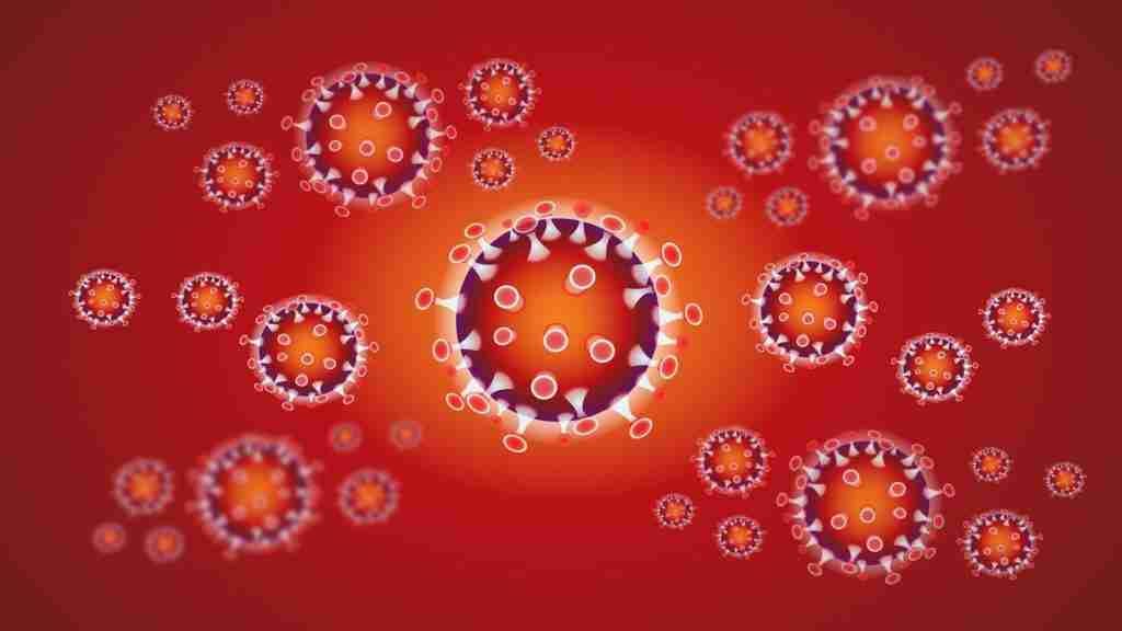 coronavirus